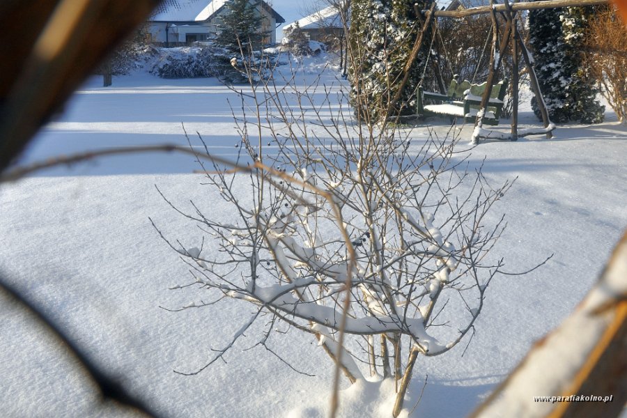 20 Zima w ogrodzie.jpg